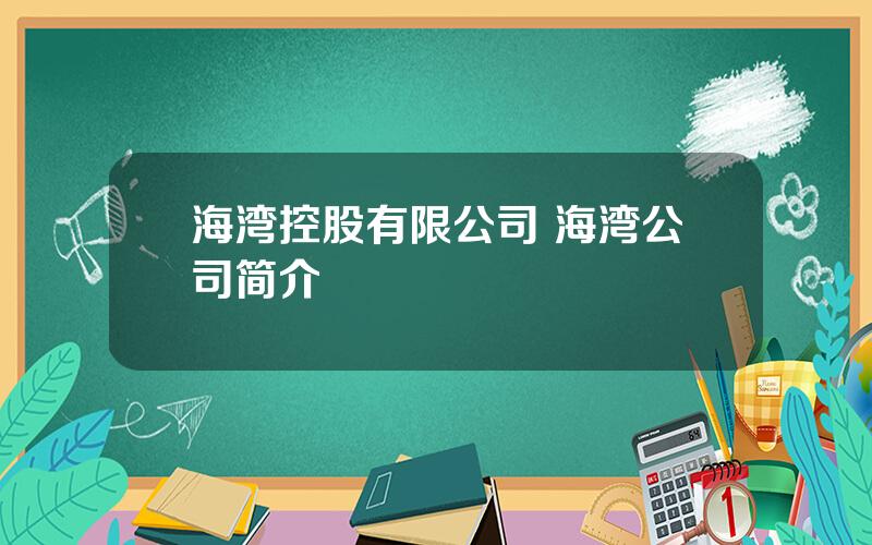 海湾控股有限公司 海湾公司简介